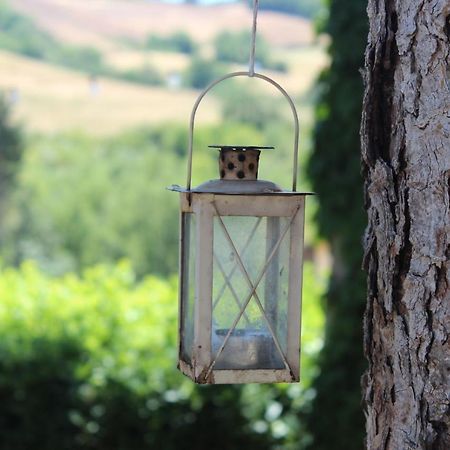 Appartement Depandance Sophia à Montalcino Extérieur photo