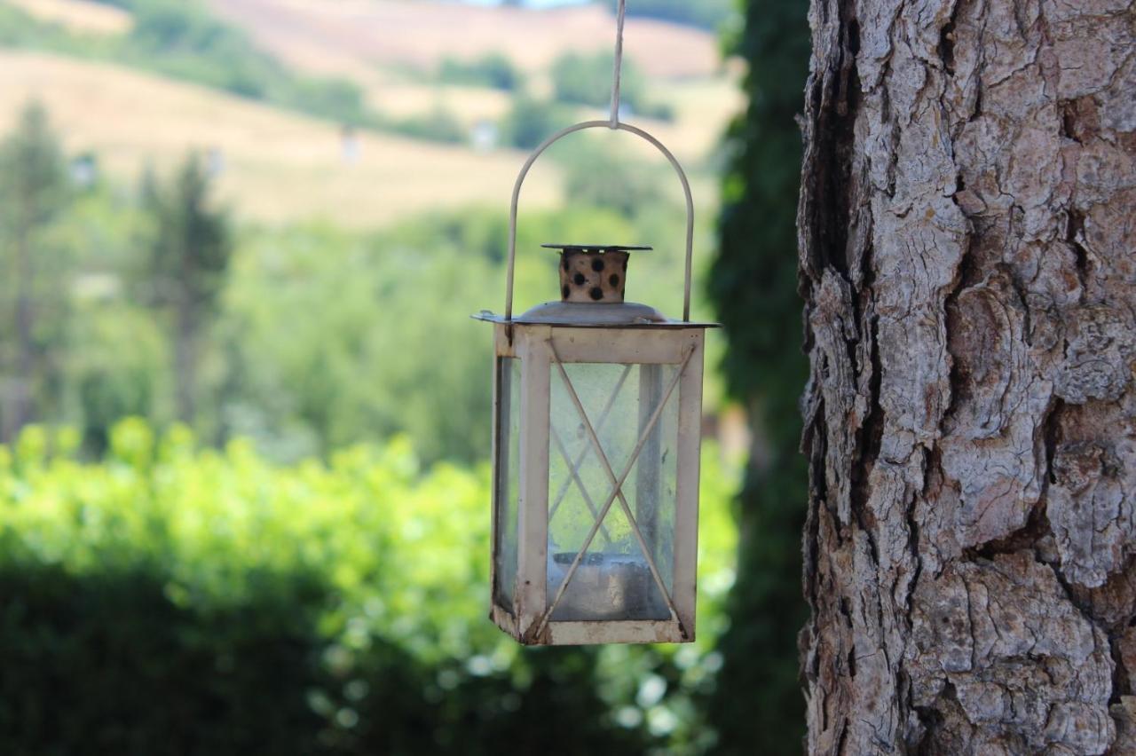 Appartement Depandance Sophia à Montalcino Extérieur photo